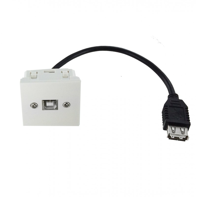 Plastron 45x45 USB2.0 B F vers USB A F – 0.2m (AWG28/24)